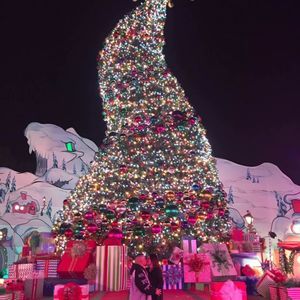 Meet your Posher, Cesar